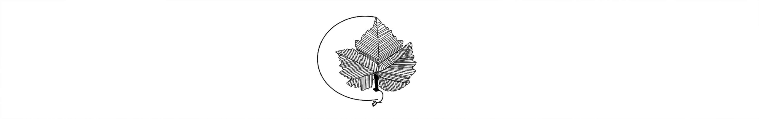 feuille-de-vigne-domaines-viticoles
