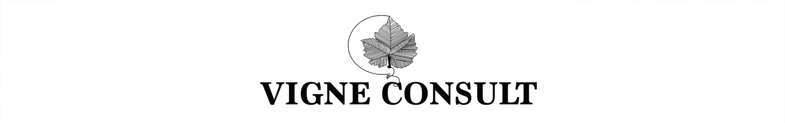 logo-vigne-consult-patrick-Lobier