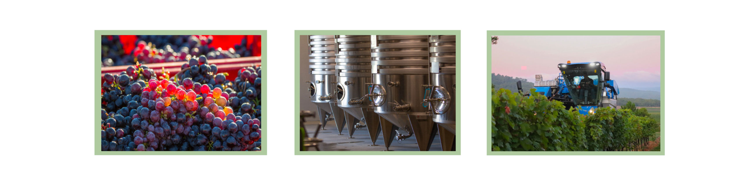 metiers-gestion-vigne-et-vignobles